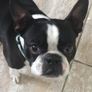 Meet your Posher, Randi